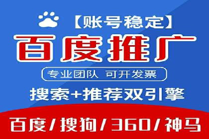 SEM服务公司助力品牌崛起案例